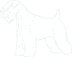 Walker's Wheatens Family